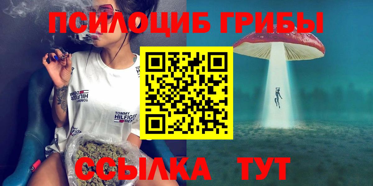 Псилоцибиновые грибы мицелий  Вход с VPN  Светлоград 